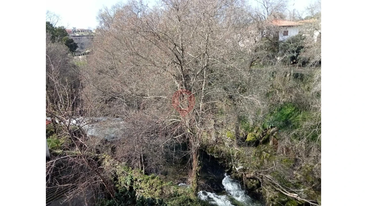 Negócio para Venda em Ceivães e Badim Foto 14