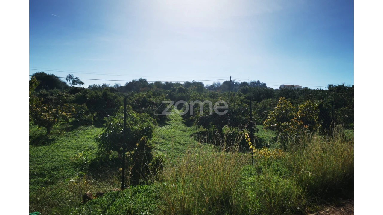 Terreno para Venda em Silves Foto 3