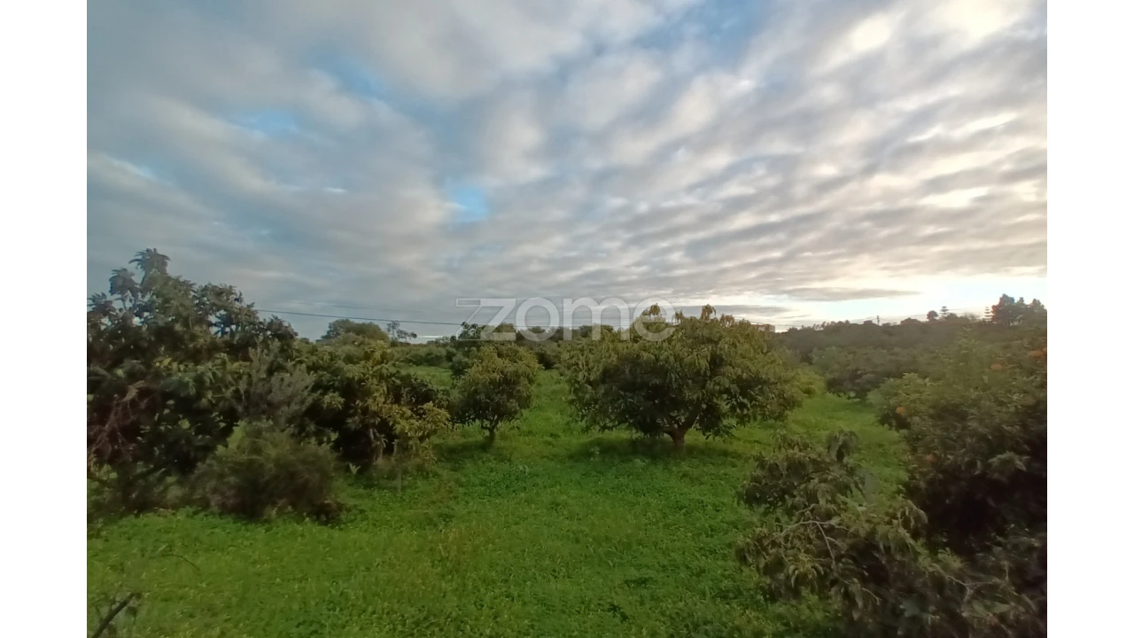 Terreno para Venda em Silves Foto 6