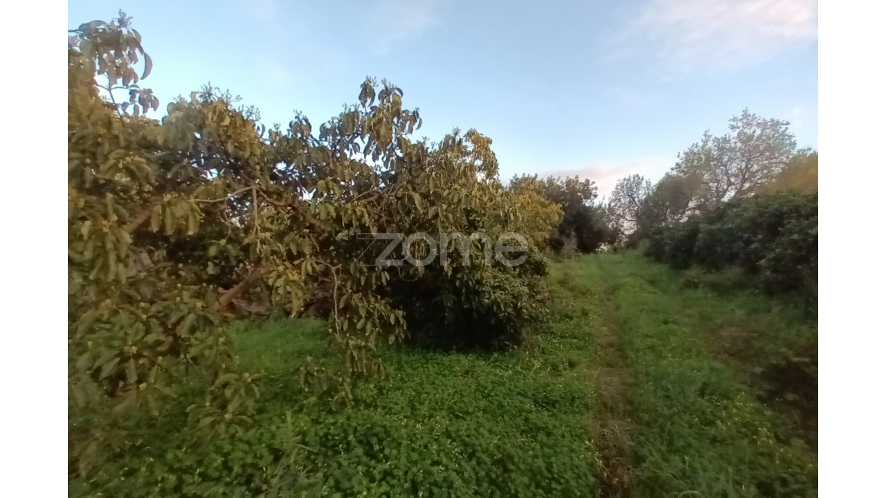 Terreno para Venda em Silves Foto 9