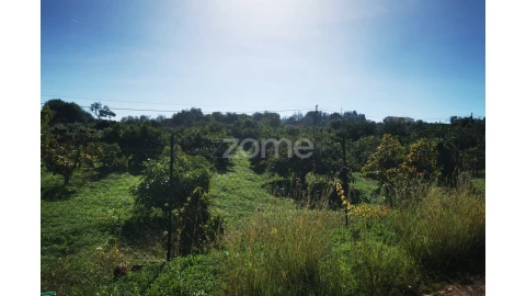 Terreno para Venda em Silves