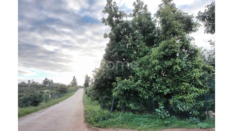 Terreno para Venda em Silves