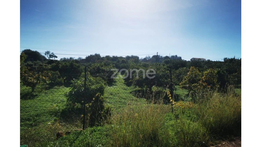 Terreno para Venda em Silves Foto 3