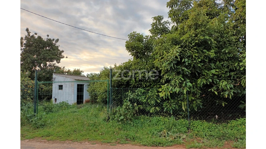 Terreno para Venda em Silves Foto 5
