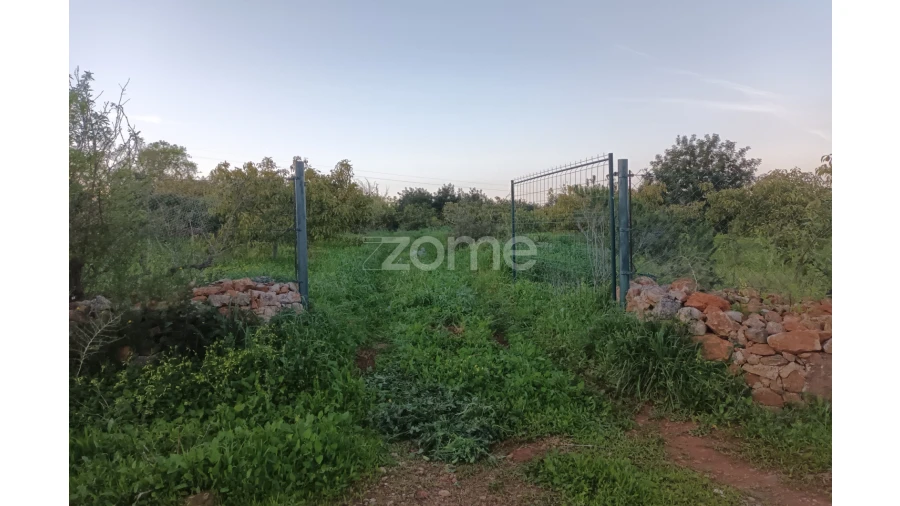 Terreno para Venda em Silves Foto 14