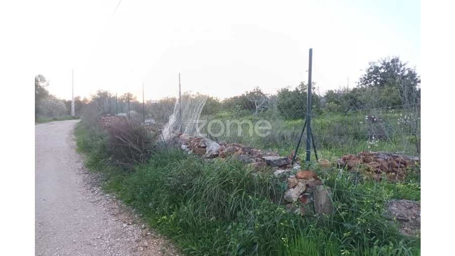 Terreno para Venda em Silves Foto 16