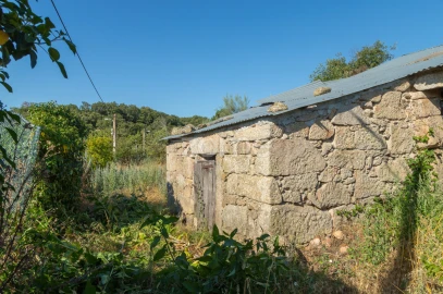 Moradia T1 para Venda em Codesseiro