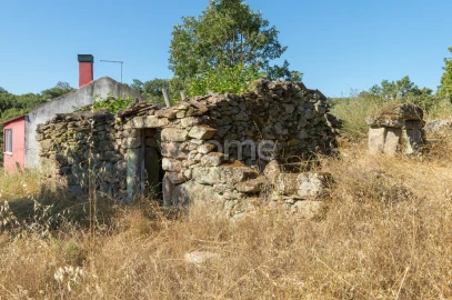 Moradia T1 para Venda em Codesseiro