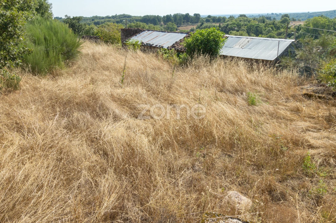 Moradia T1 para Venda em Codesseiro Foto 37