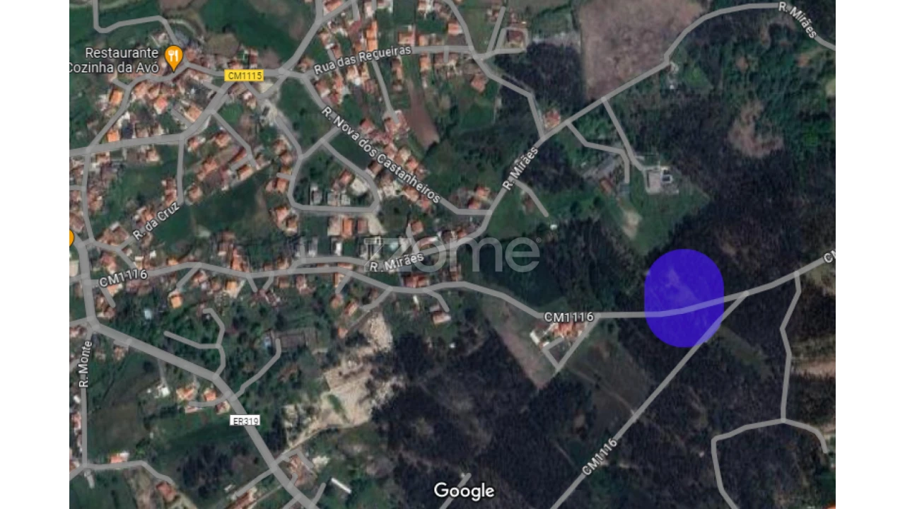 Terreno para Venda em Monte Córdova Foto 1