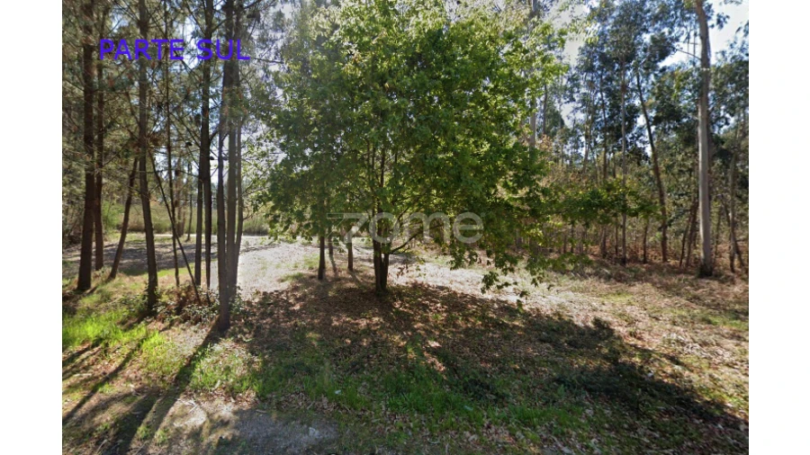 Terreno para Venda em Monte Córdova Foto 9