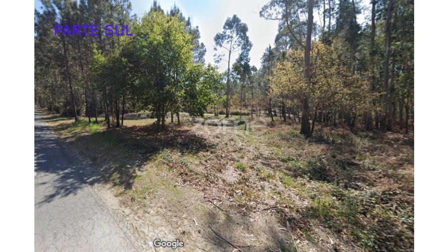 Terreno para Venda em Monte Córdova Foto 10