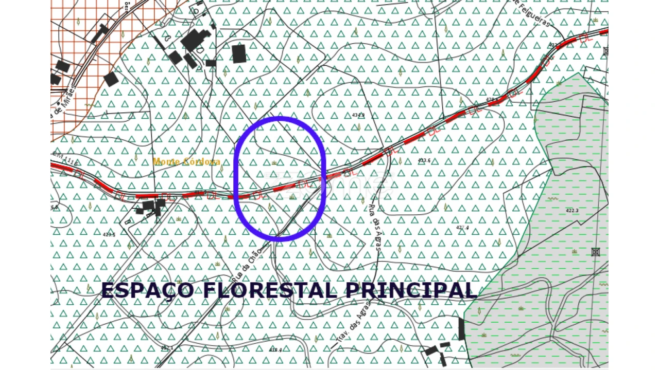 Terreno para Venda em Monte Córdova Foto 3