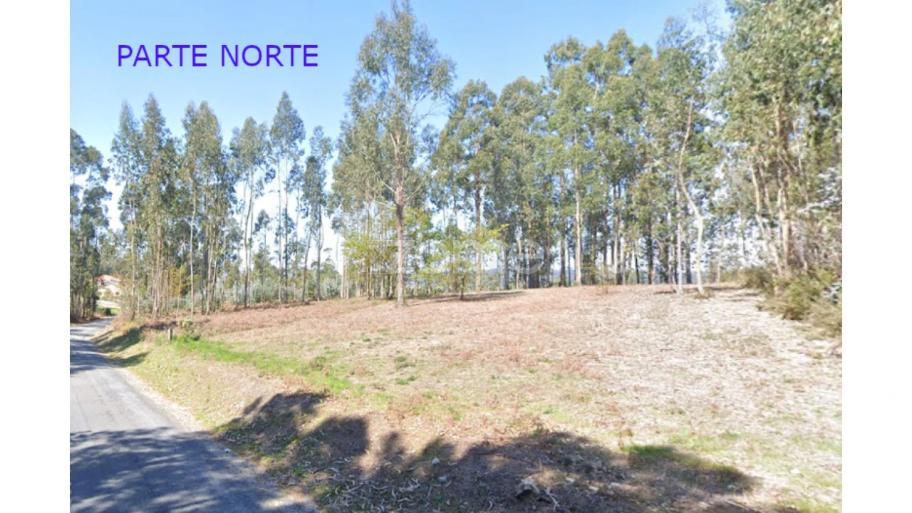 Terreno para Venda em Monte Córdova Foto 5