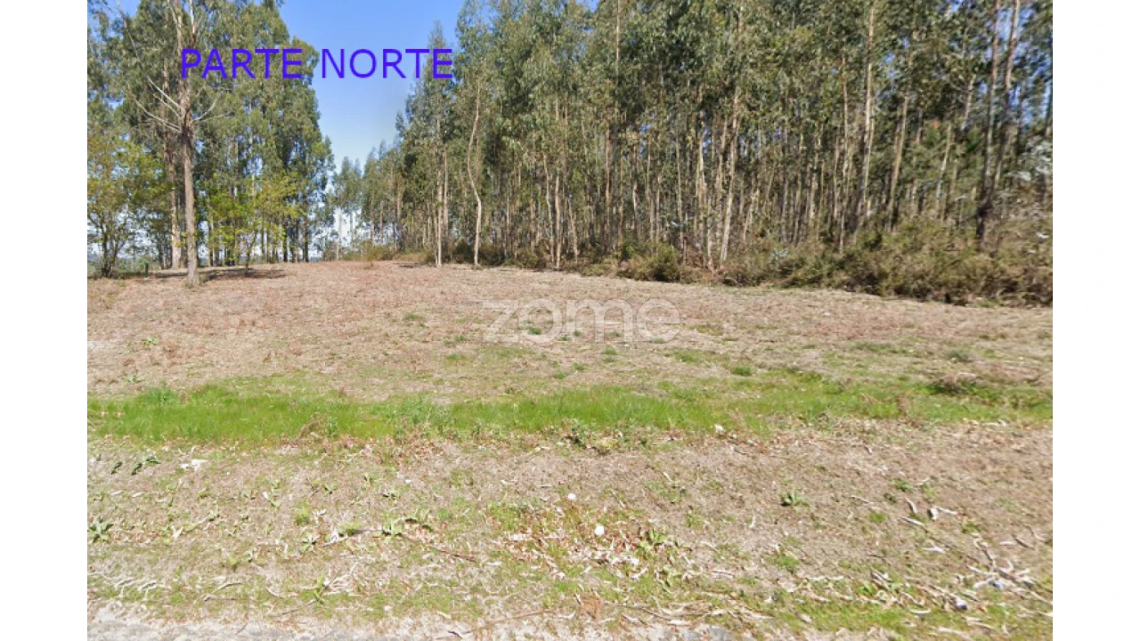 Terreno para Venda em Monte Córdova Foto 2