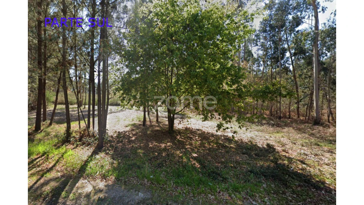 Terreno para Venda em Monte Córdova Foto 9