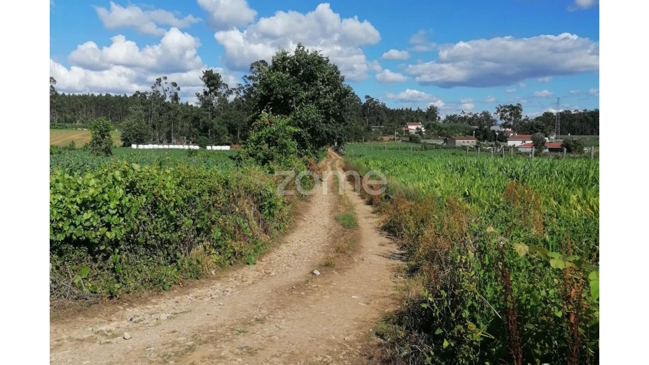 Terreno para Venda em Fradelos Foto 2