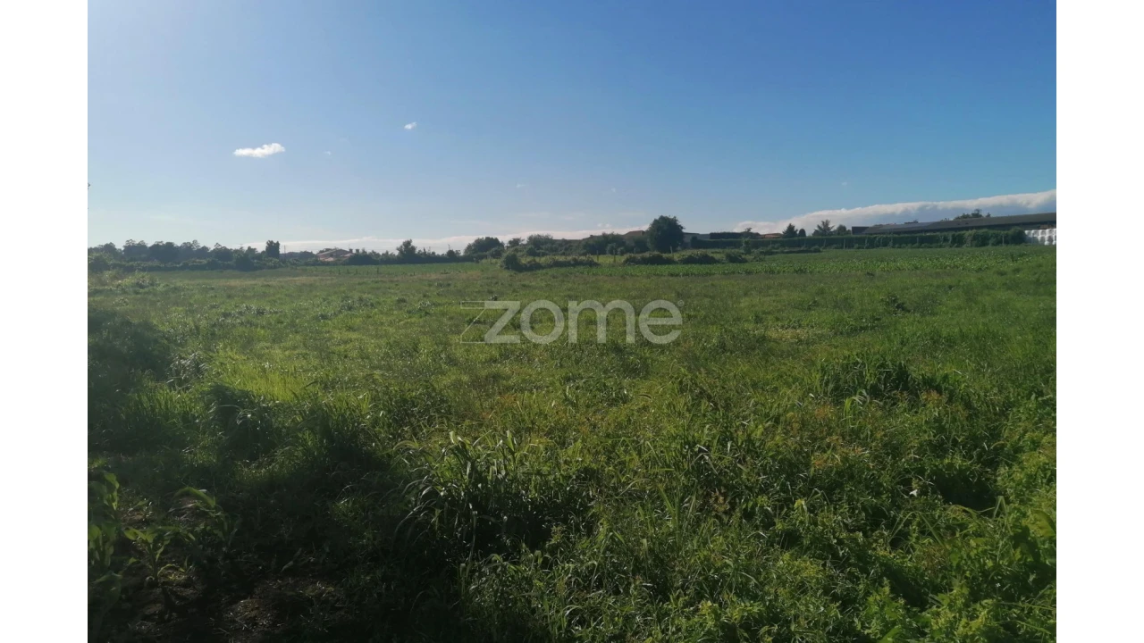 Terreno para Venda em Fradelos Foto 5