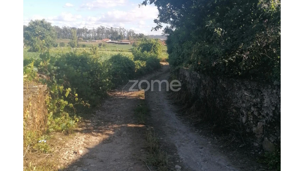 Terreno para Venda em Fradelos Foto 9