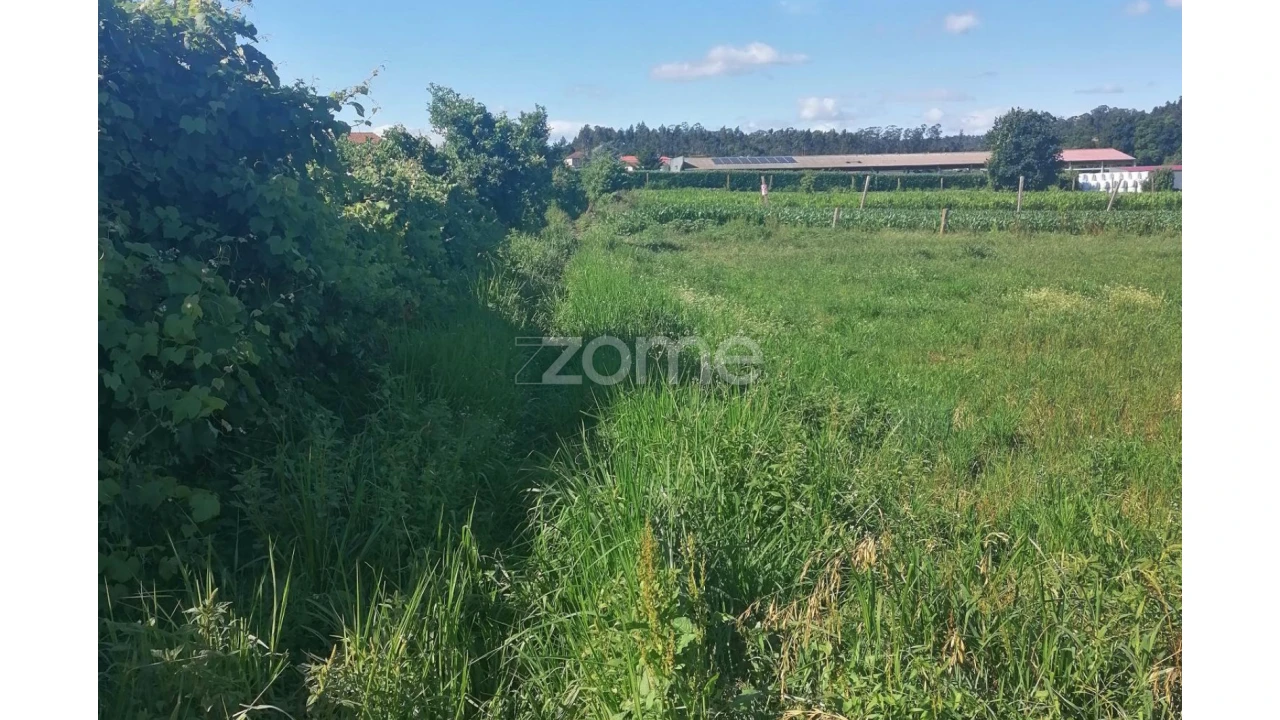 Terreno para Venda em Fradelos Foto 12