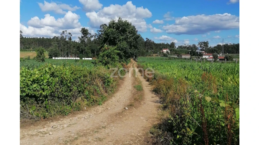 Terreno para Venda em Fradelos Foto 2
