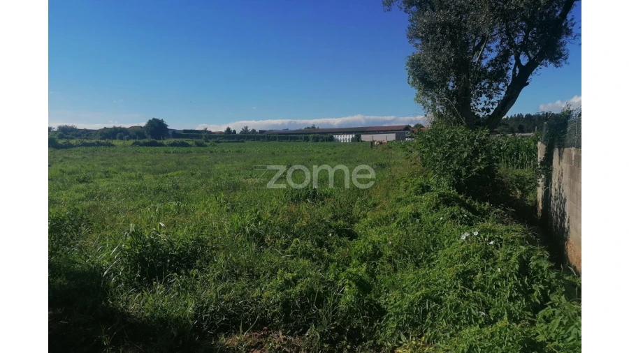 Terreno para Venda em Fradelos Foto 4