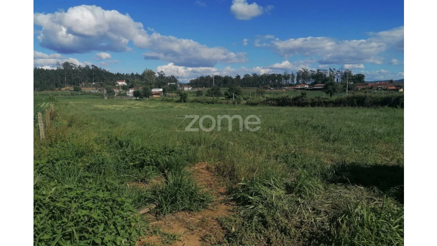 Terreno para Venda em Fradelos Foto 16