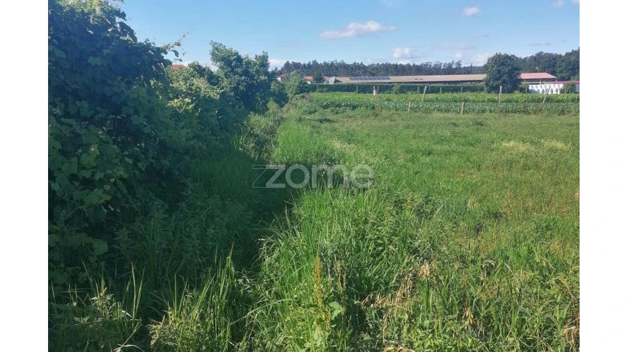 Terreno para Venda em Fradelos Foto 12