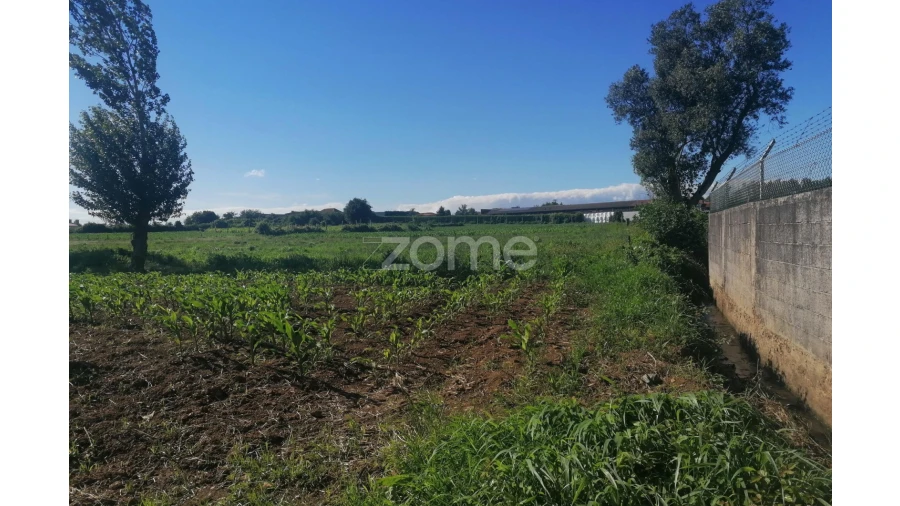 Terreno para Venda em Fradelos Foto 17