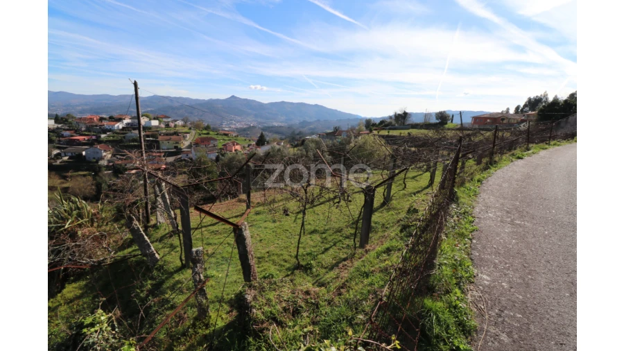 Terreno para Venda em Souto e Tabaçô Foto 2