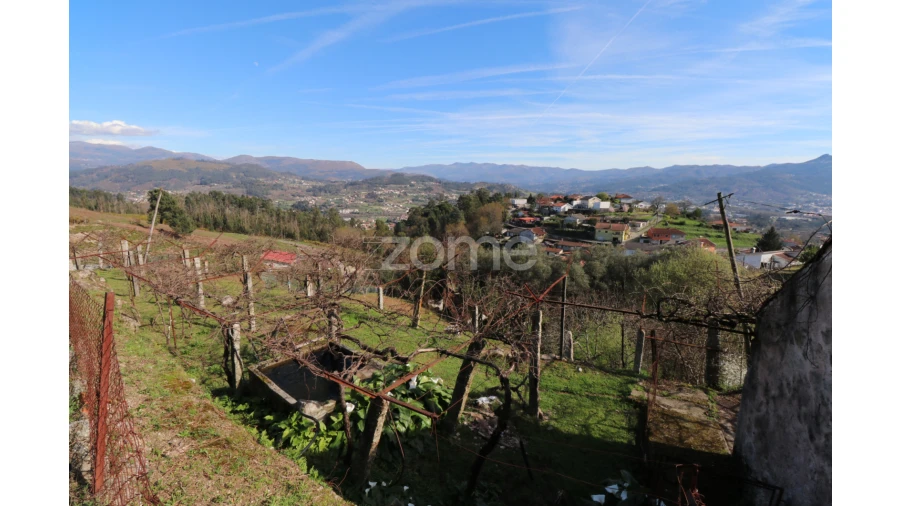 Terreno para Venda em Souto e Tabaçô Foto 5