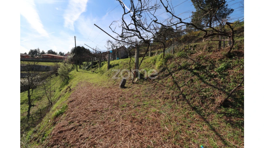 Terreno para Venda em Souto e Tabaçô Foto 7