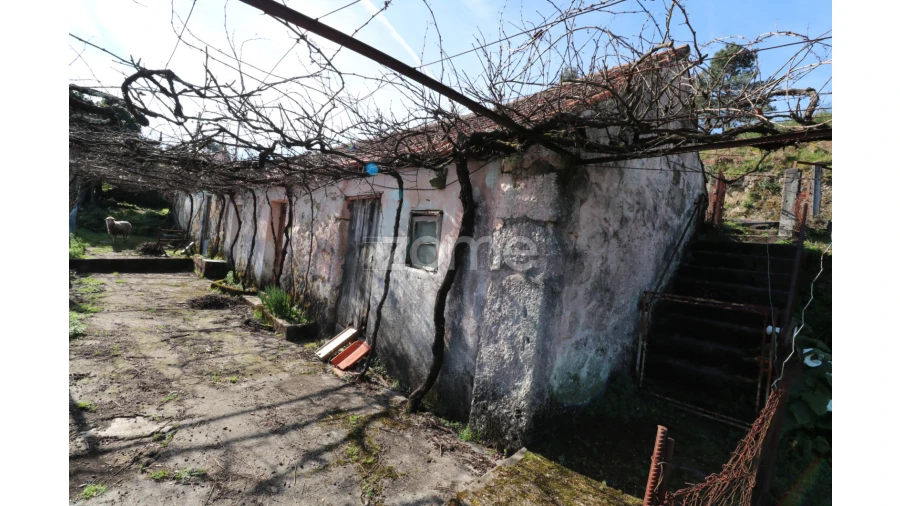 Terreno para Venda em Souto e Tabaçô Foto 1