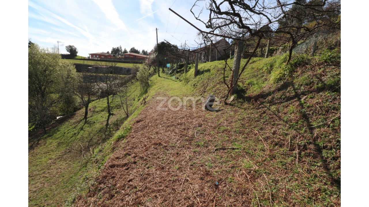 Terreno para Venda em Souto e Tabaçô Foto 7