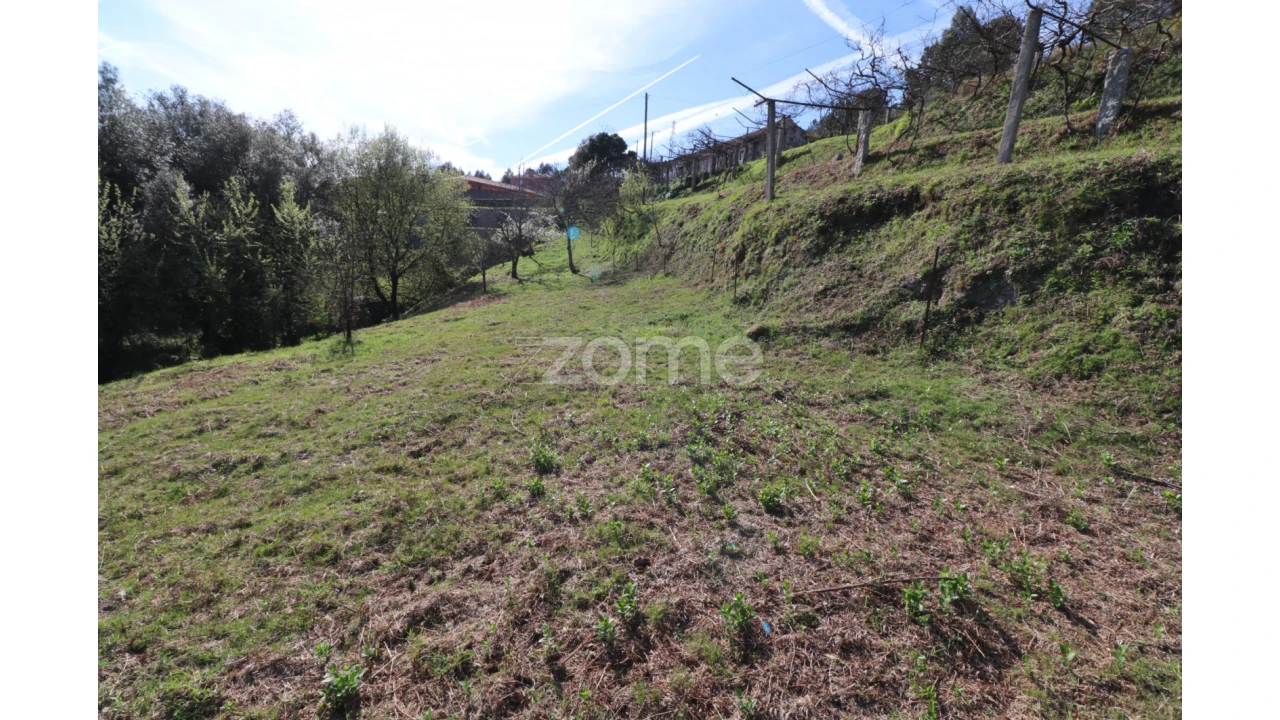 Terreno para Venda em Souto e Tabaçô Foto 12