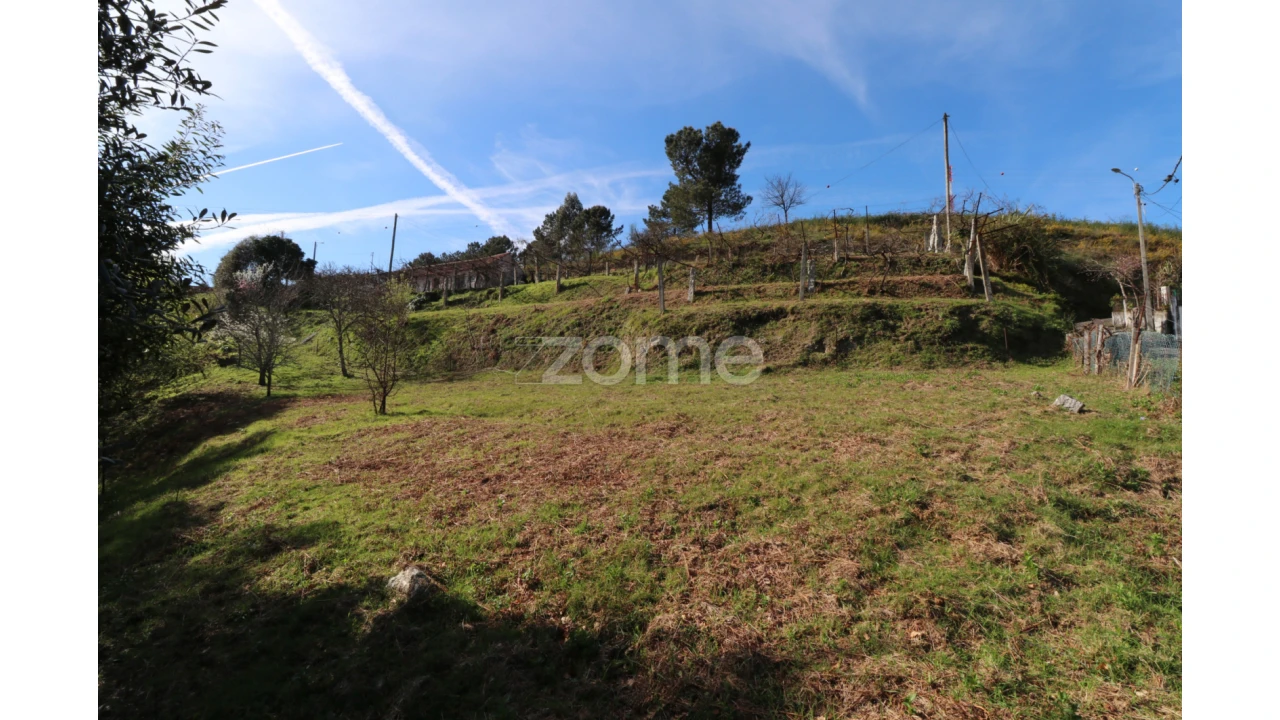 Terreno para Venda em Souto e Tabaçô Foto 13