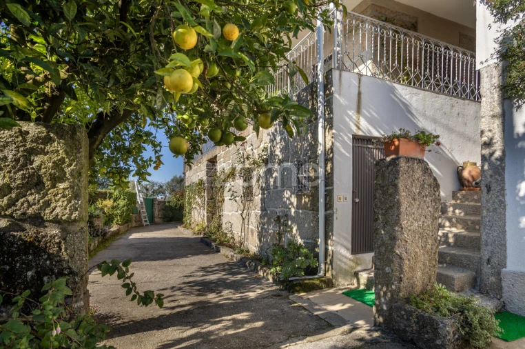 Quinta T6 para Venda em Silgueiros Foto 1