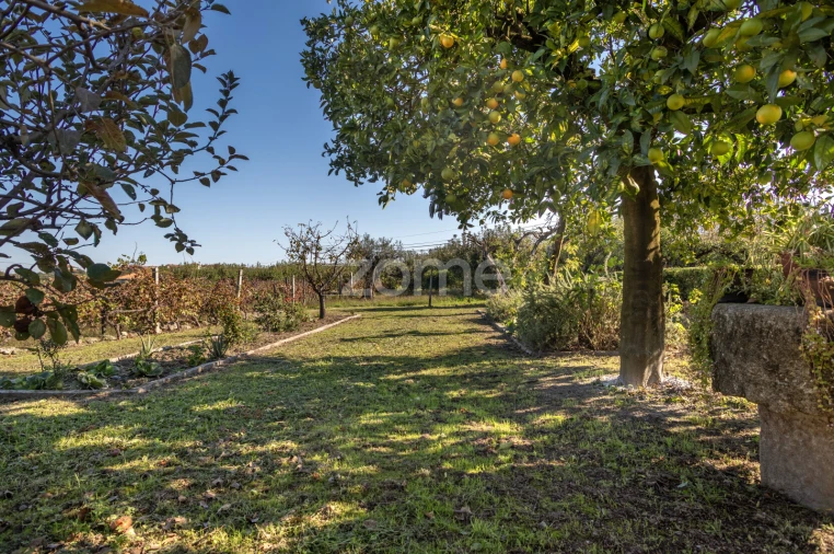 Quinta T6 para Venda em Silgueiros Foto 9