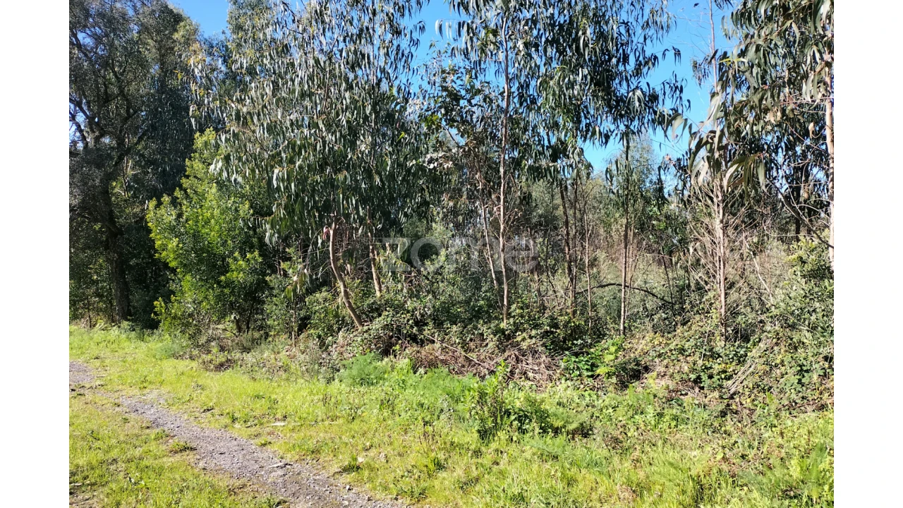Terreno para Venda em Guilhabreu Foto 4