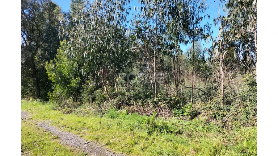 Terreno para Venda em Guilhabreu Foto 4