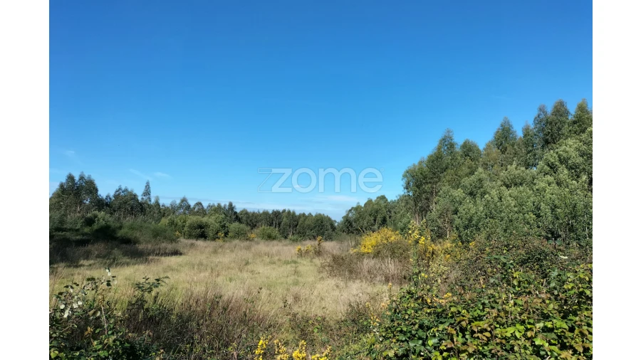 Terreno para Venda em Guilhabreu Foto 5