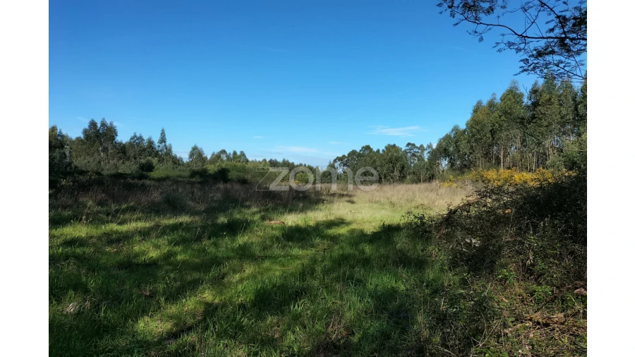 Terreno para Venda em Guilhabreu Foto 6