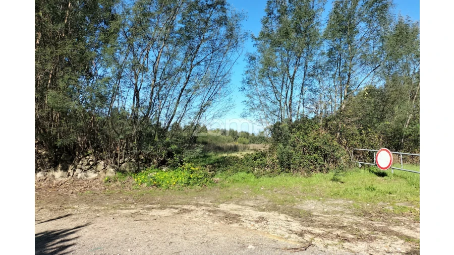 Terreno para Venda em Guilhabreu Foto 7