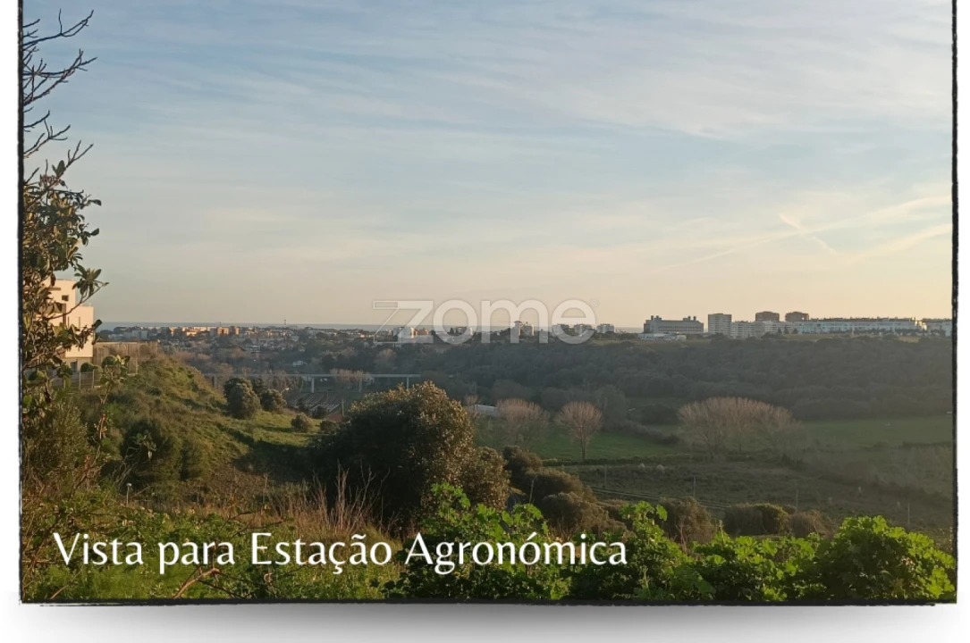 Terreno para Venda em Oeiras e São Julião da Barra, Paço de Arcos e Caxias Foto 17