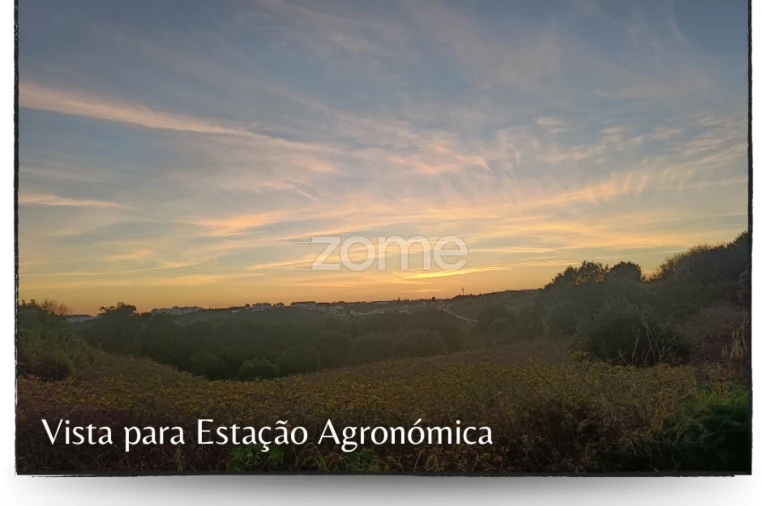 Terreno para Venda em Oeiras e São Julião da Barra, Paço de Arcos e Caxias Foto 18