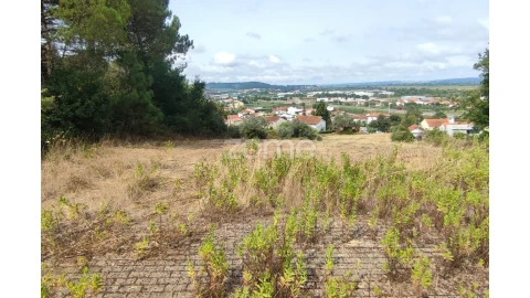 Terreno para Venda em Taveiro, Ameal e Arzila