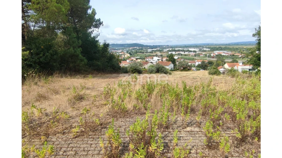 Terreno para Venda em Taveiro, Ameal e Arzila Foto 2