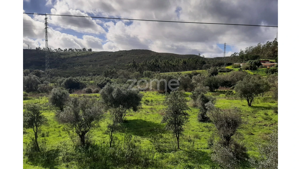 Terreno para Venda em Mexilhoeira Grande Foto 7