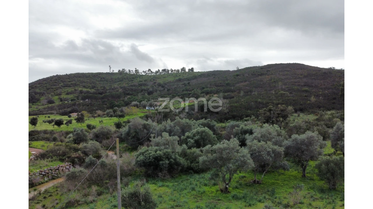 Terreno para Venda em Mexilhoeira Grande Foto 11