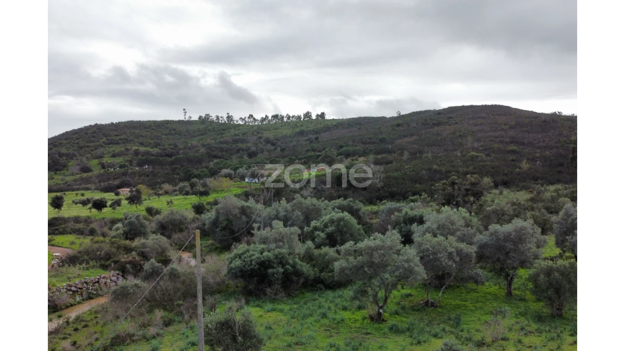 Terreno para Venda em Mexilhoeira Grande Foto 1